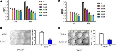 Cryptotanshinone inhibits ovarian tumor growth and metastasis by degrading c-Myc and attenuating the FAK signaling pathway